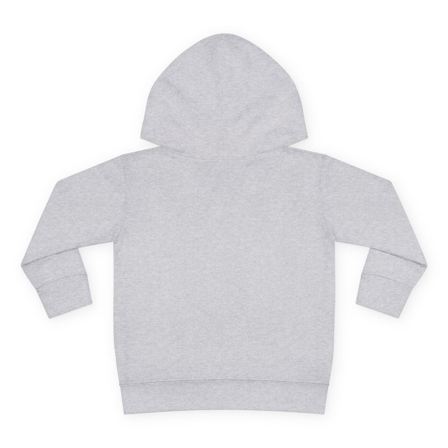 "Be A Blessing" Toddler Hoodie