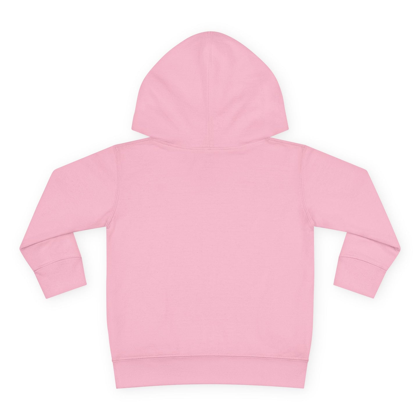 "Be A Blessing" Toddler Hoodie