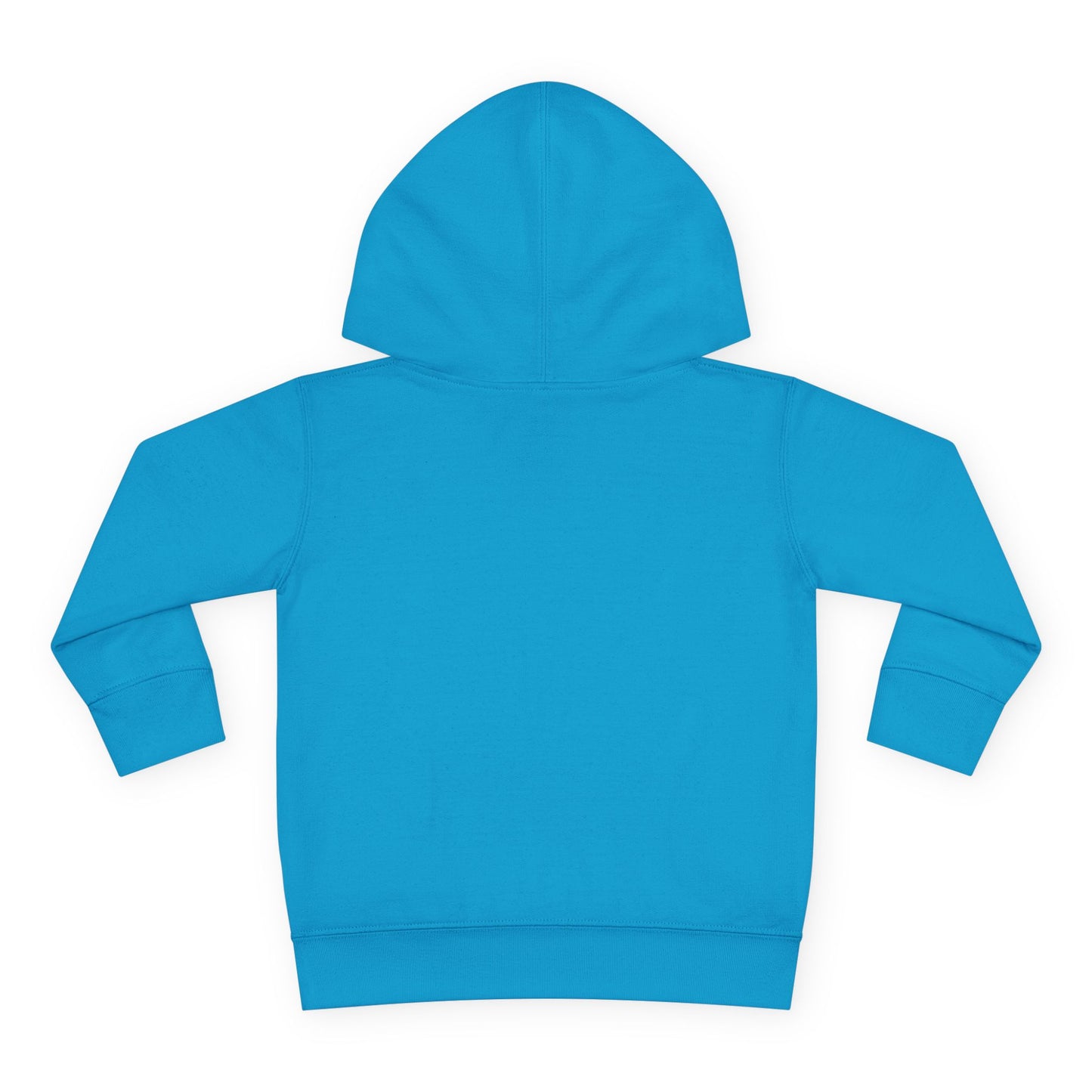 "Be A Blessing" Toddler Hoodie