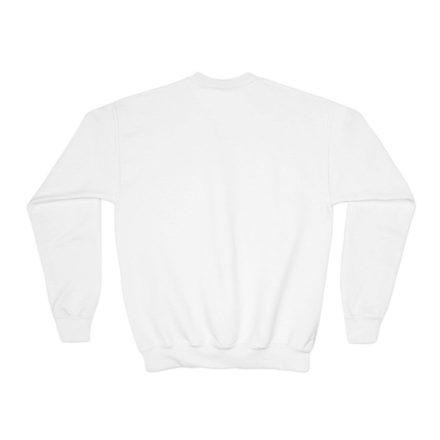 "El Roi: The God Who Sees Me" Genesis 16:13 Youth Crewneck Sweatshirt