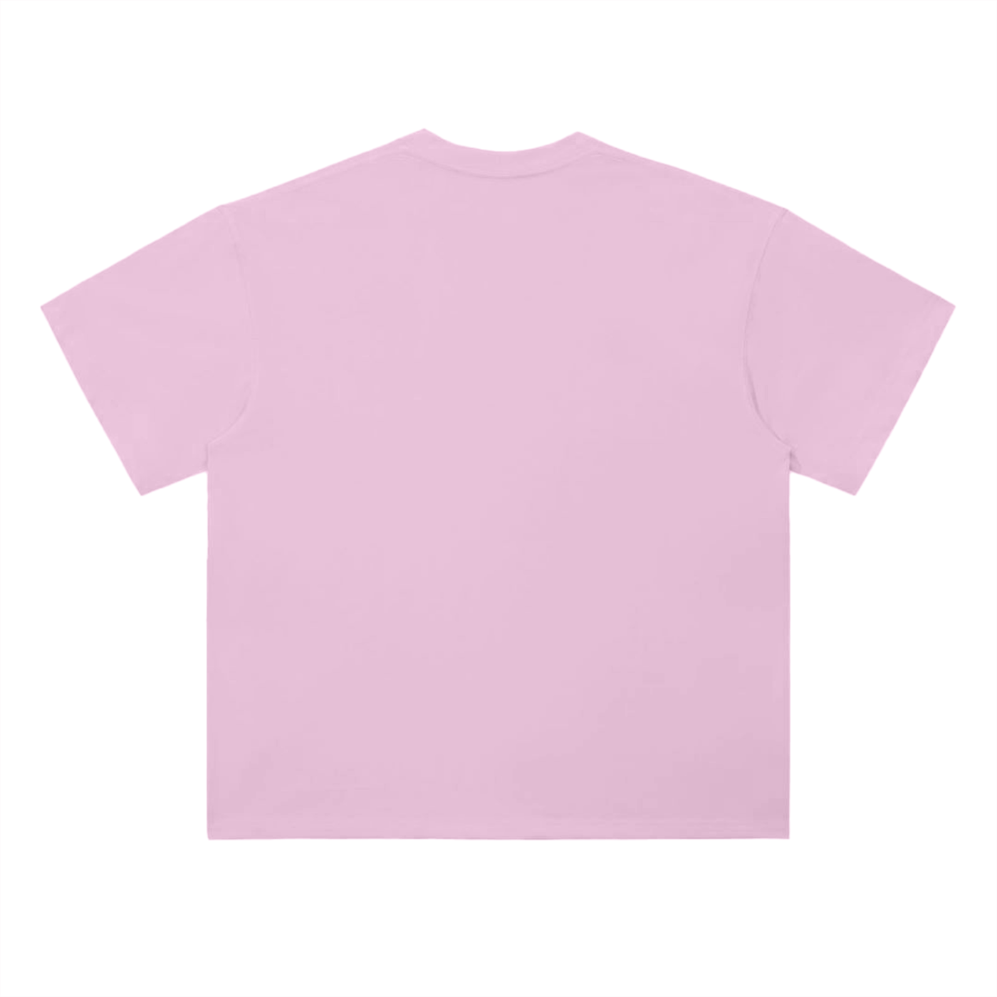 Proverbs 31:30 - Woman of Praise Heavyweight Script Tee
