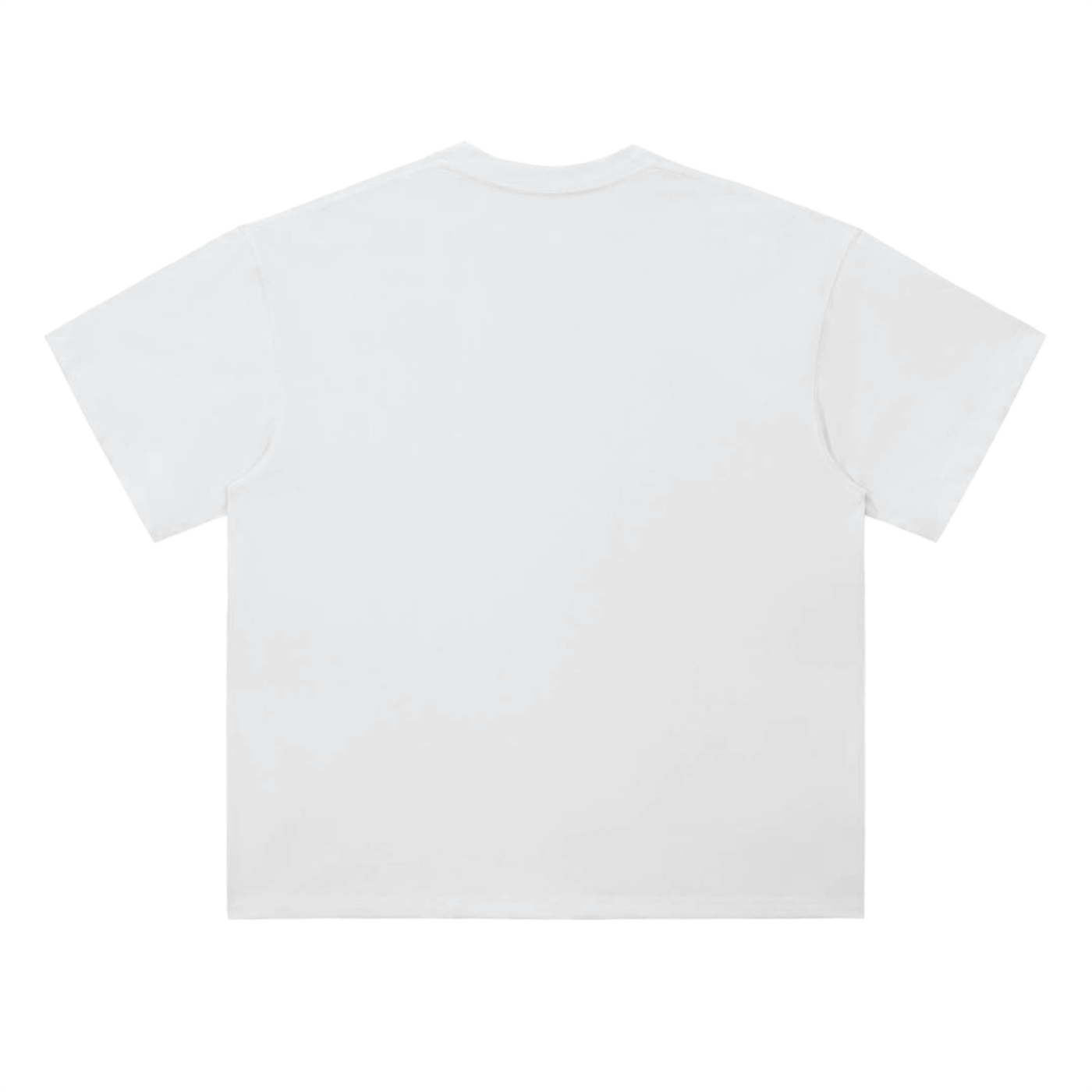 Proverbs 31:30 - Woman of Praise Heavyweight Script Tee